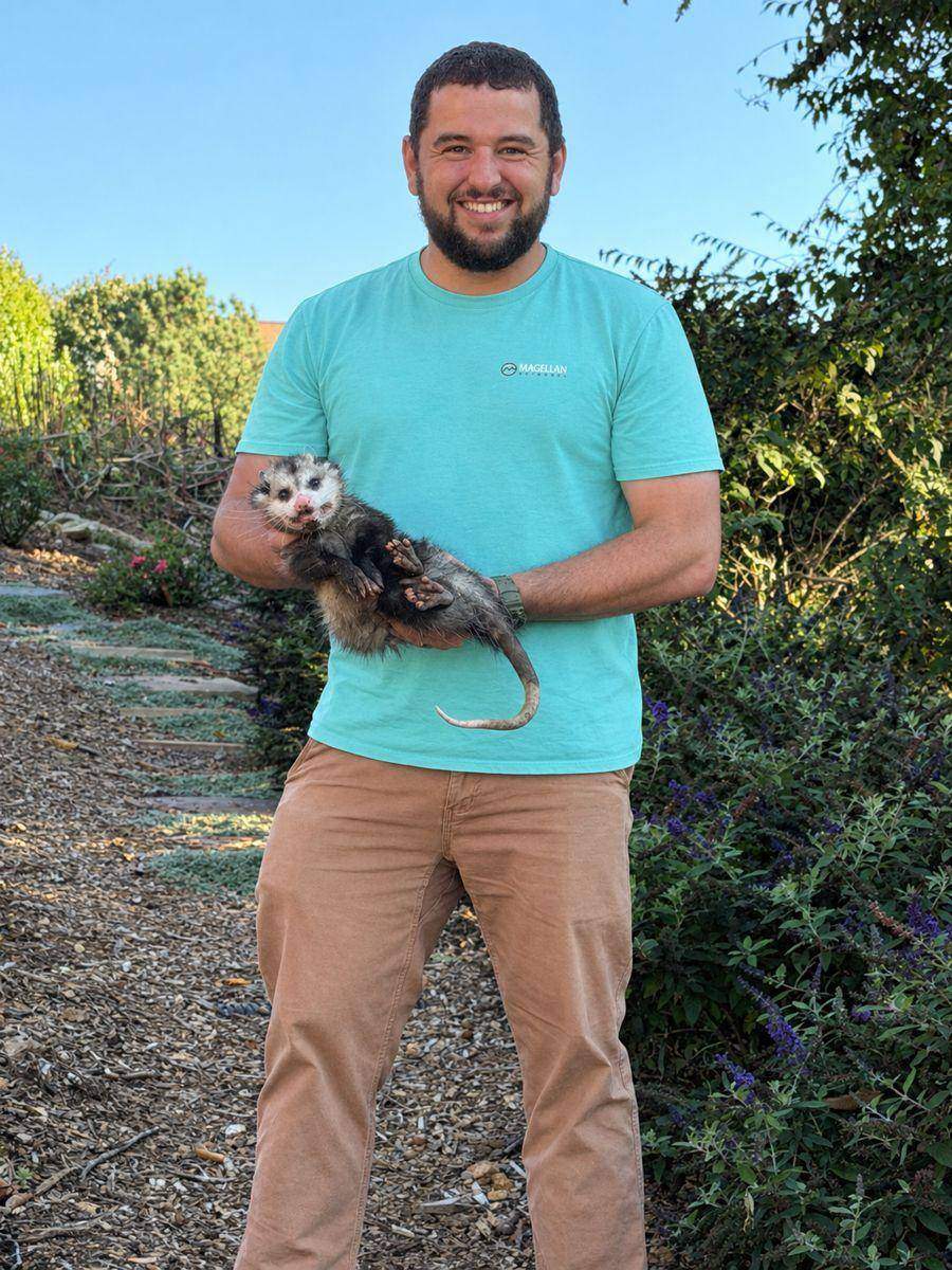 Carl Patterson of Carolina Precision Wildlife Control holding an opossum