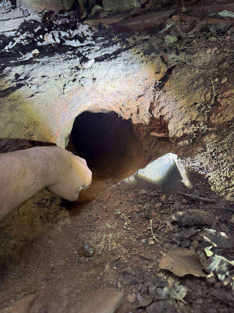 Groundhog burrow entrance against a foundation in Hudson NC